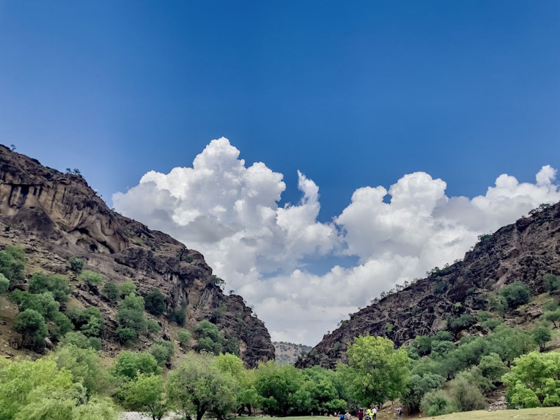 آسمان صاف و پوشش گیاهی سبز تنگه پیازه