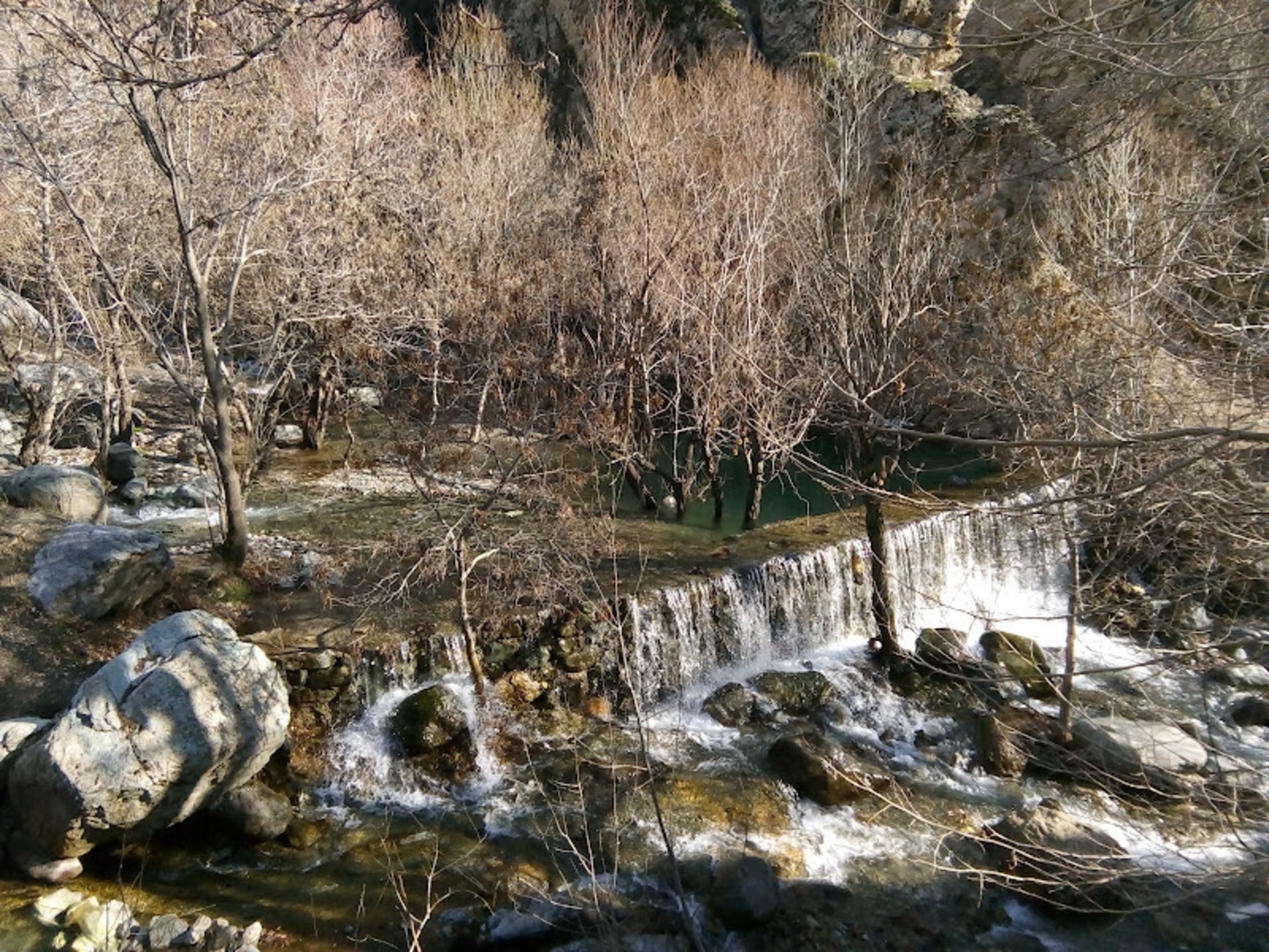 چشمه و درختان بدون برگ درکه