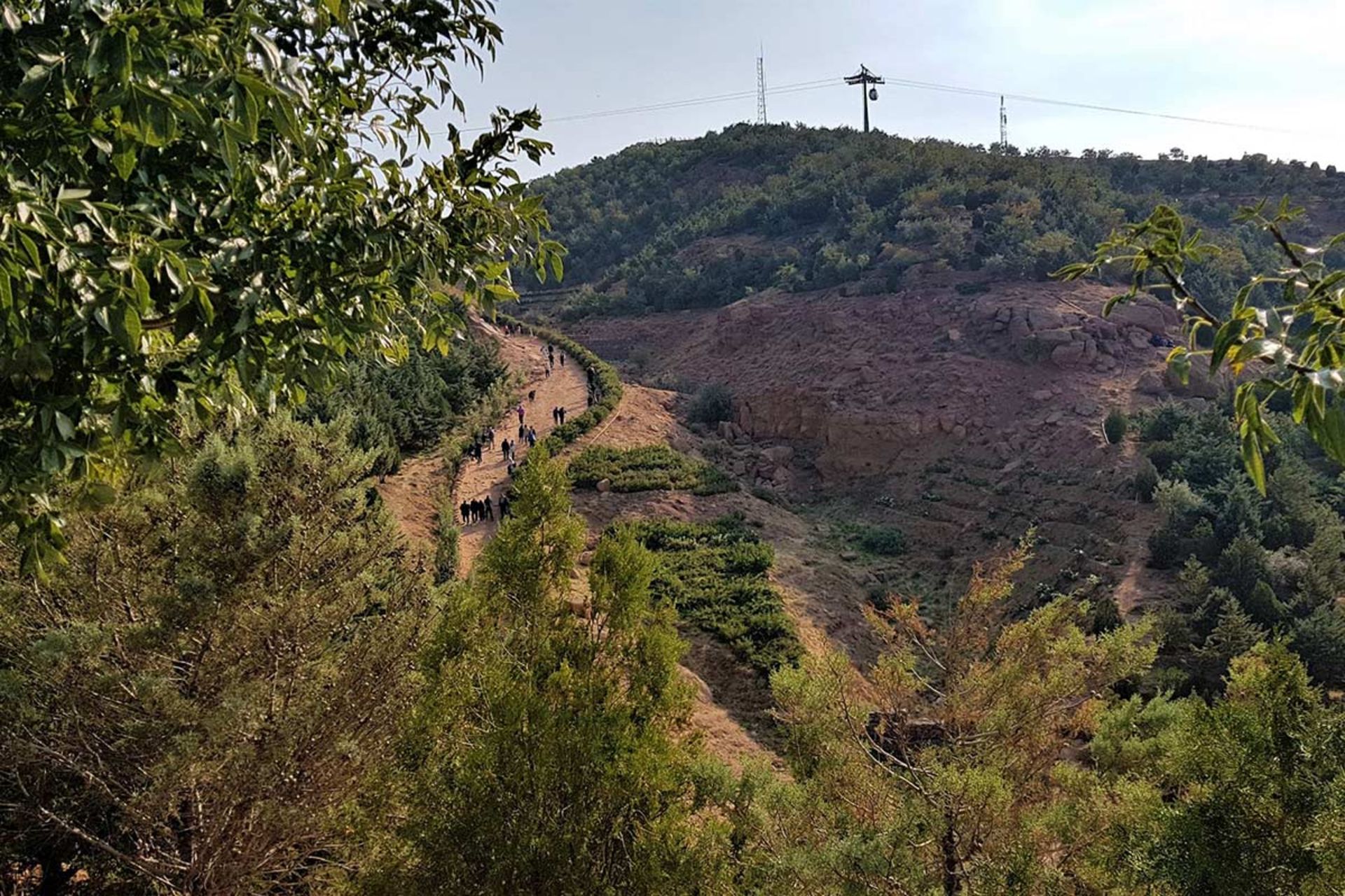کوه عینالی در تابستان