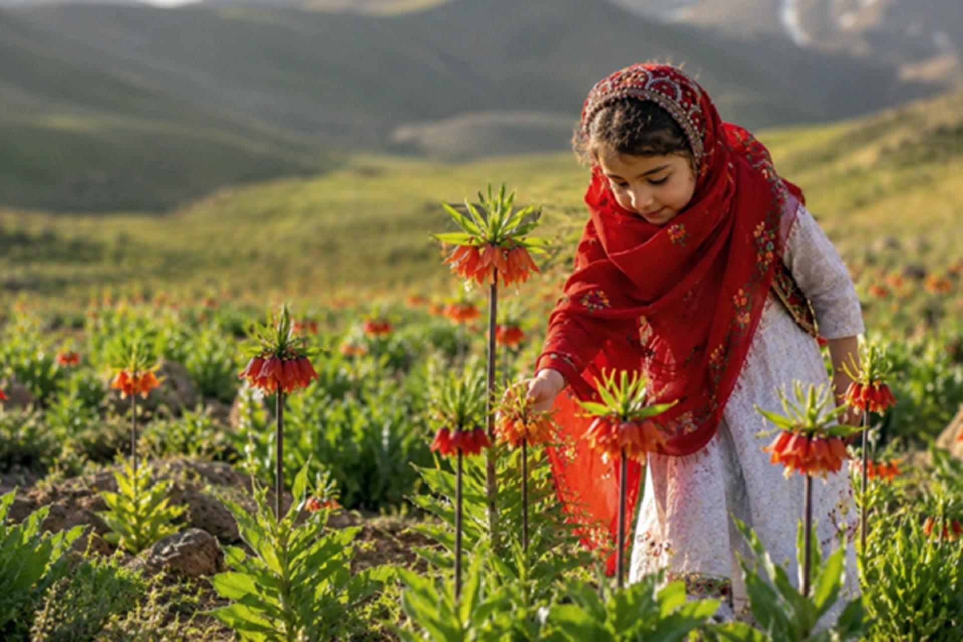  مقاصد گل‌گردی در ایران