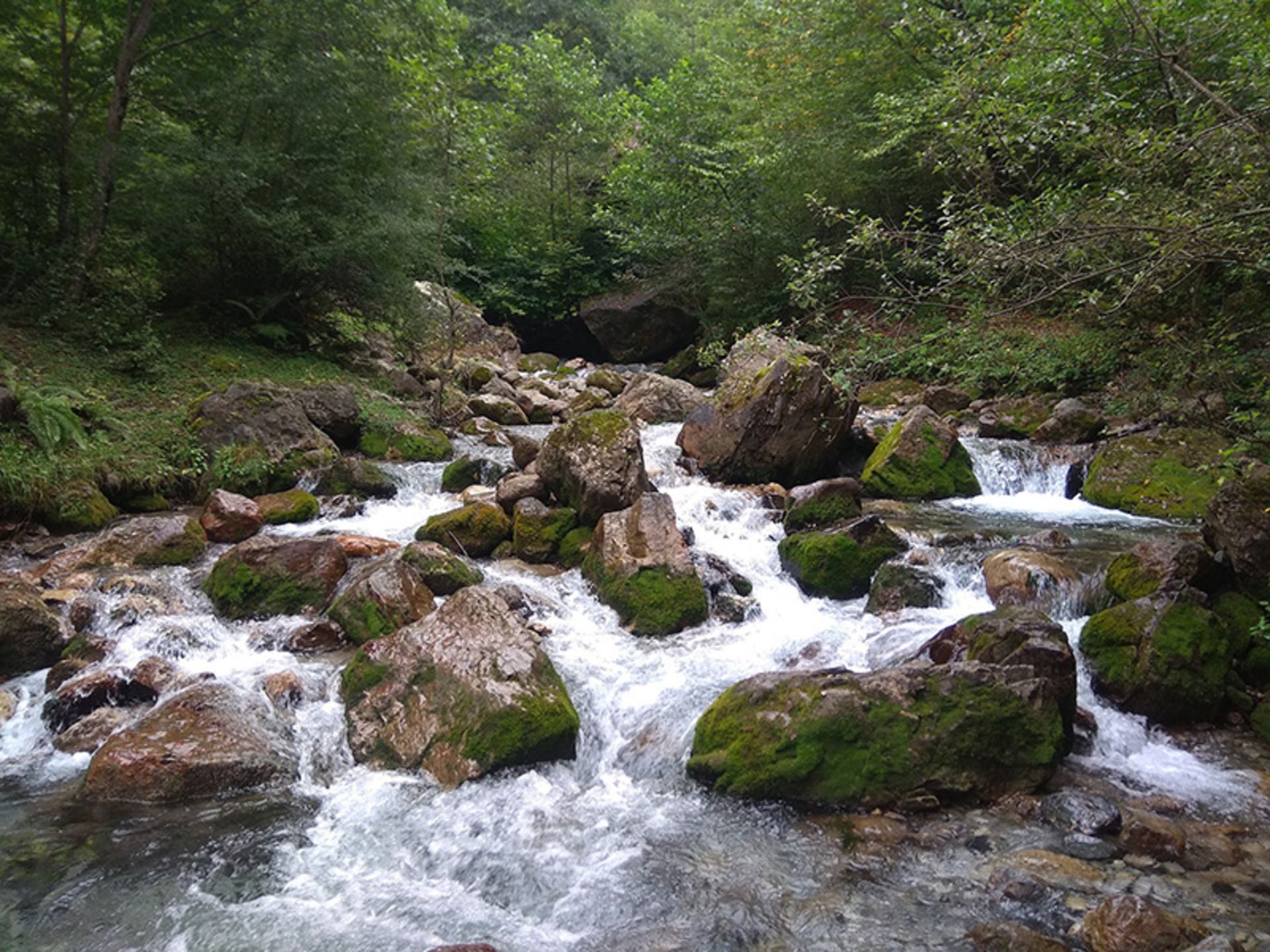 رودخانه زیبا و خروشان روستای عسل محله