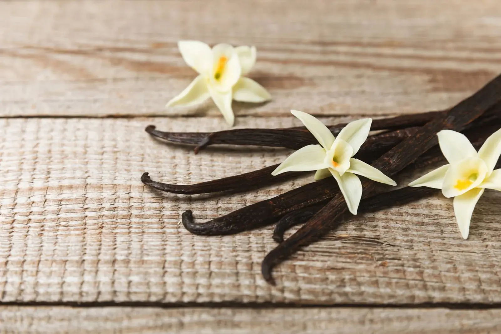 گل‌های سفید و غلاف‌های قهوه‌ای گیاه وانیل (Vanilla) روی سطح چوبی