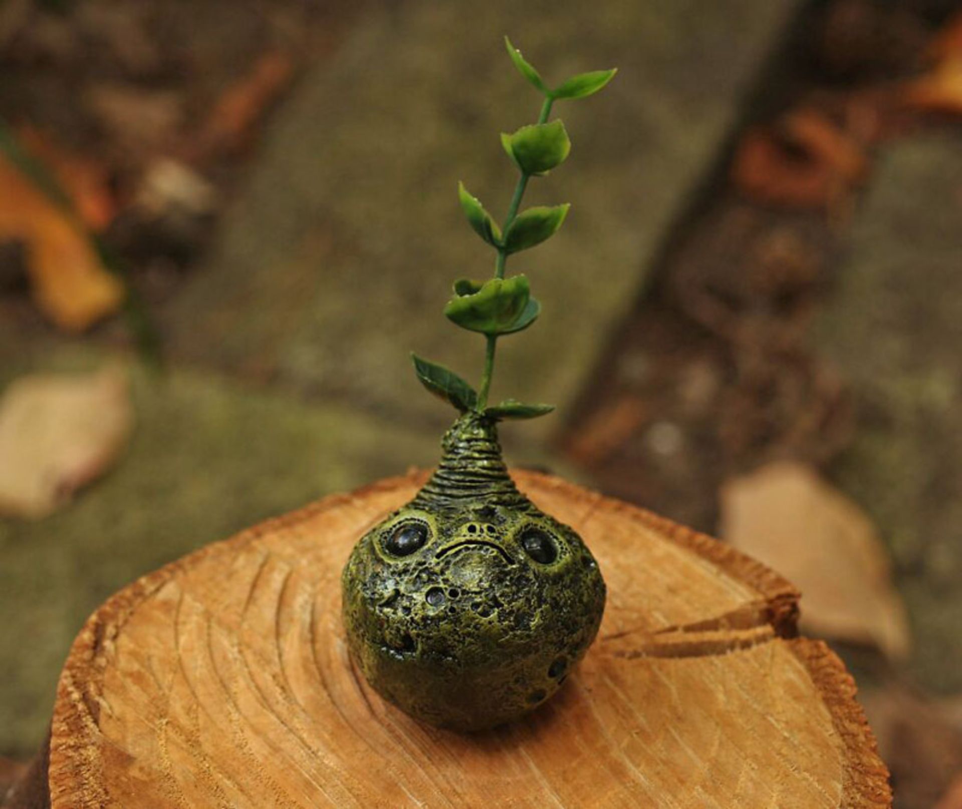 گلدان کوچک فانتزی با دو چشم