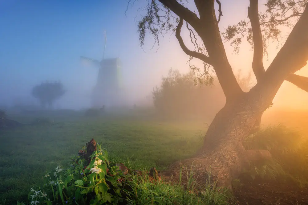 آسیاب بادی (Windmill) در میان مه صبحگاهی و نور خورشید