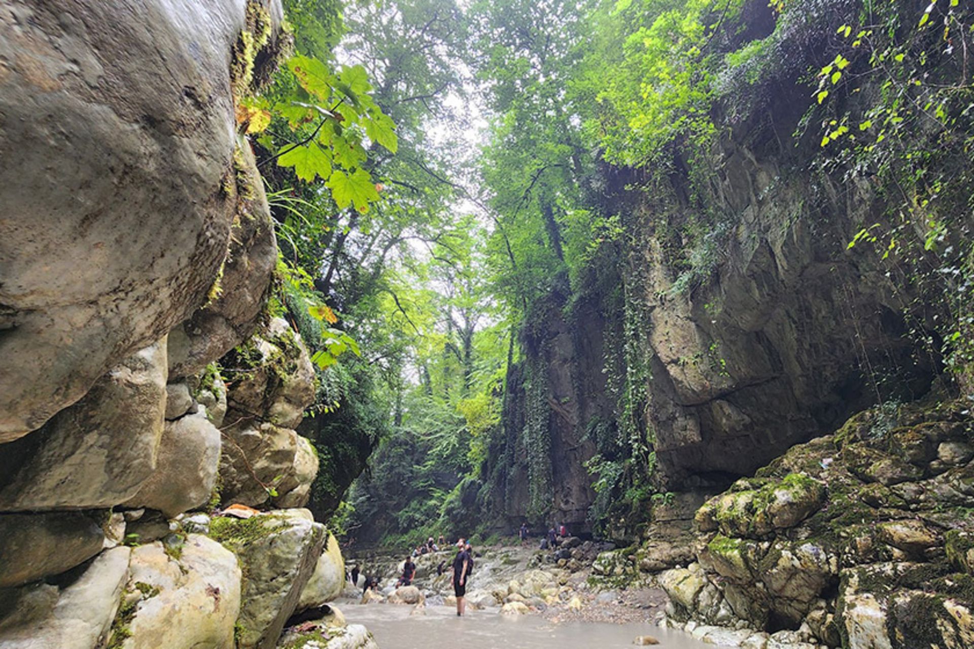 پیاده روی در تنگ دار
