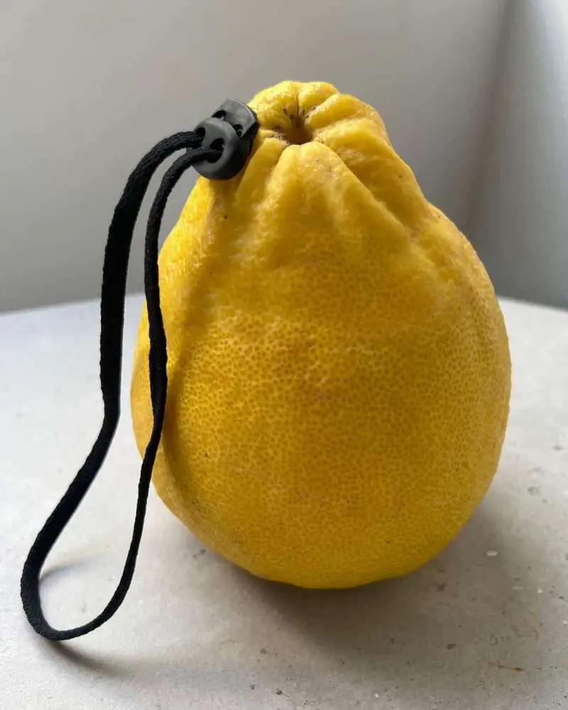 لیمو زرد (Lemon) با یک بند و قفل مشکی در قسمت بالای میوه