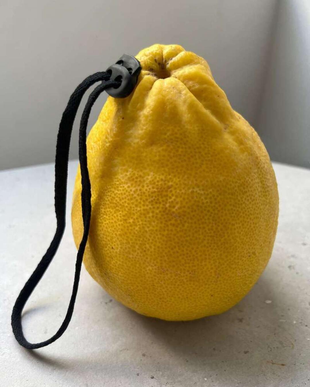 لیمو زرد (Lemon) با یک بند و قفل مشکی در قسمت بالای میوه