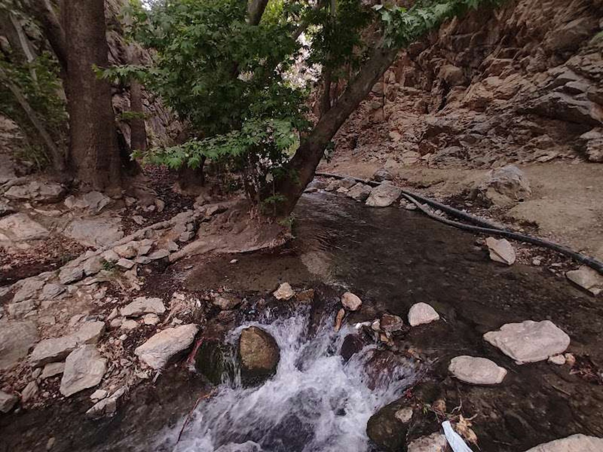 رودخانه و درختان سراب صحنه کرمانشاه