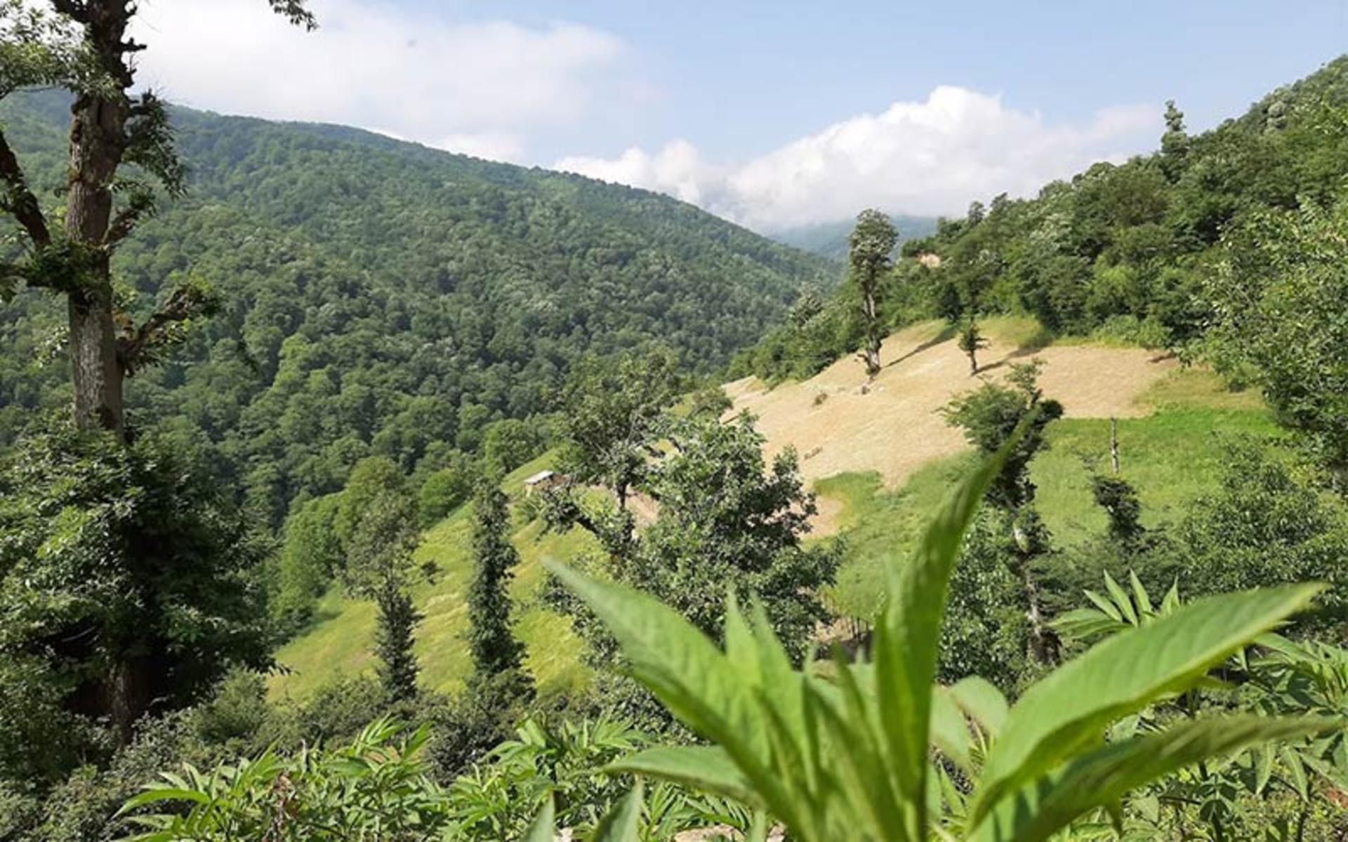 طبیعت کوهستانی جاده اسالم به خلخال